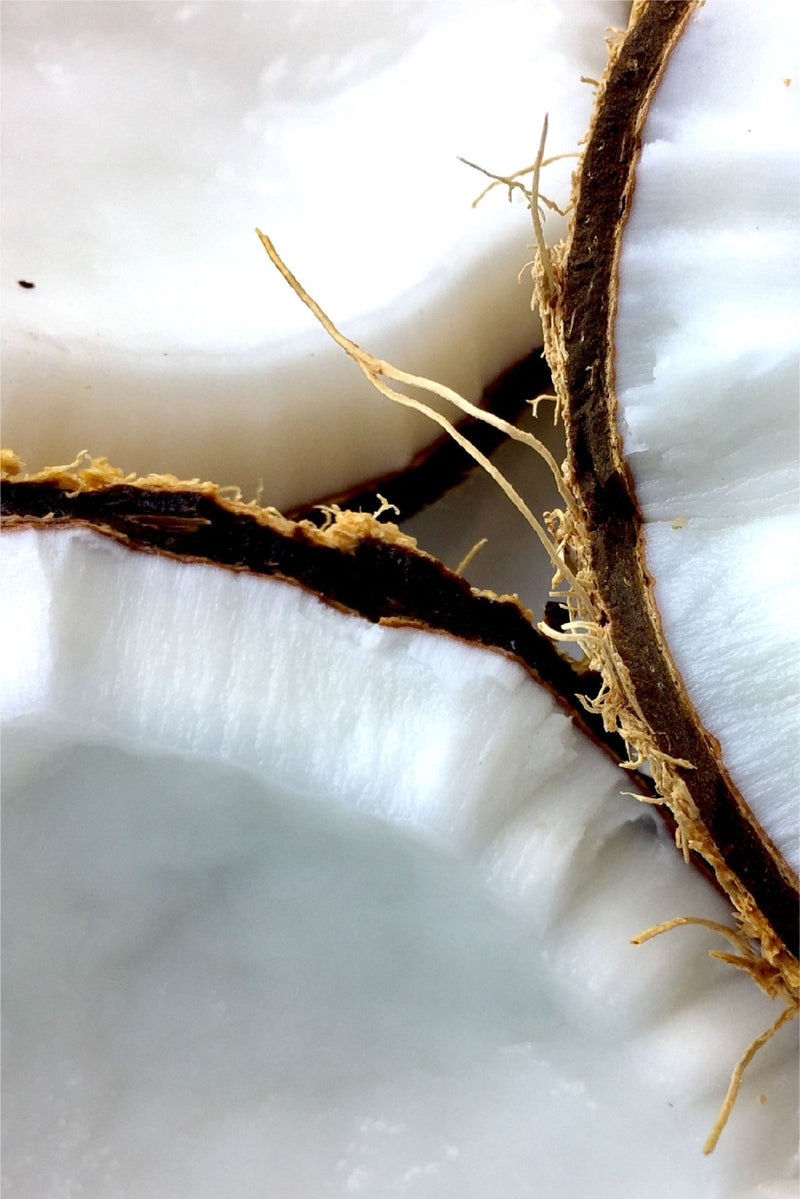 Coconut Oil